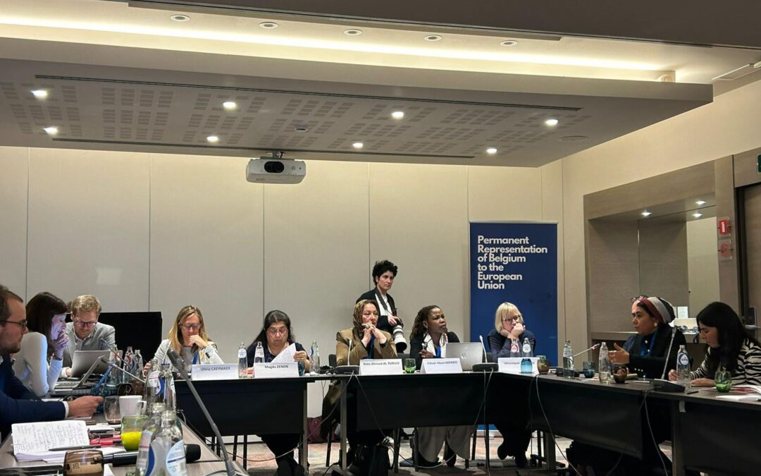 MWMN at the EU Community of Practice on Peace Mediation in Brussels